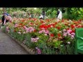 Visita à Casa e Jardins de Monet
