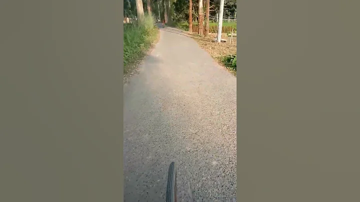 Surat Al-Fatihah (The Opener) | Mishary Rashid Alafasy | مشاري بن راشد العفاسي | سورة الفاتحة