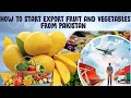 How to export fruit and vegetable from pakistan  learn import  export business