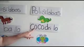 Clasificación de Sílabas - Grado Primero / 19 de Marzo 2020