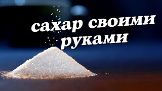 Сахар своими руками. Ферментация. Вкусный фермент.