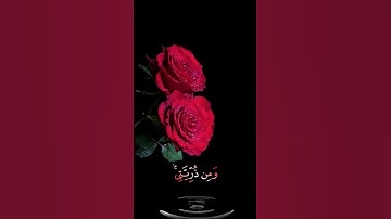 صباح الخير🌹حالات واتساب مقاطع قصيره قران كريم🌹رب اجعلني مقيم الصلاة ومن ذريتي🌹احمد النفيس بدون حقوق