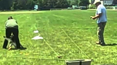 2013 Premier Lure Coursing | United Kennel Club