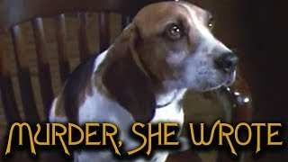 That Time Murder, She Wrotes Murderer Was A Dog