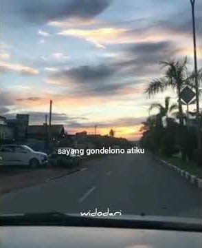 story wa widodari