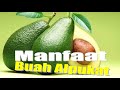 Apa Saja Manfaat Buah Alpukat