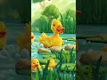Cutie Little Ducks 🐤 #Shorts #ducks