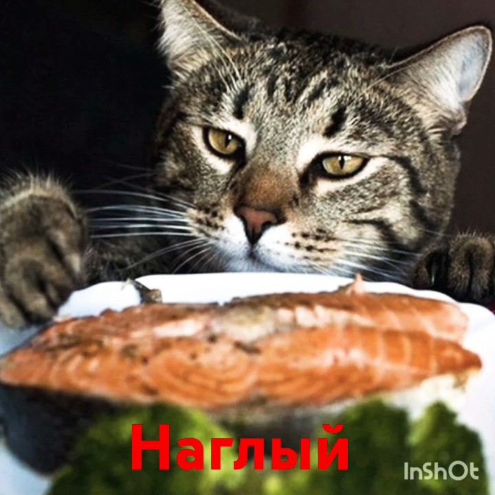 Любимый наглец - YouTube