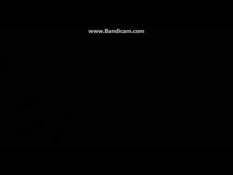 "Animals" - Martin Garrix (Lyrics)
