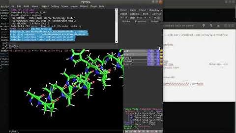 1. Build a sequence of secondary structure with Pymol | Estructura Secundaria Péptido en Pymol