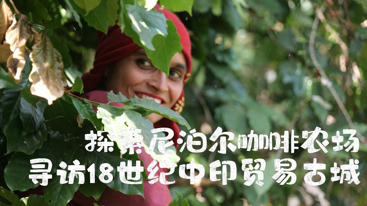 Rural Nepal- Coffee Farms old Town of China-India 18th Century探索中国和印度18世纪小镇及咖啡农场，尼泊尔的真实乡村