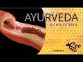 Ayurvedas quick guide to cholesterol harmony  beewellnews shorts