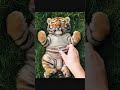 Can you resist this cute tiger cub? #tiger#shorts#nature#funny#cute