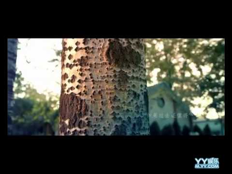 YY931 风小筝 匆匆那年《MV》