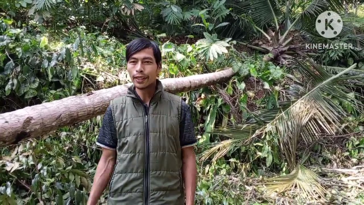 Juni 2025... Alhamdulillah....Buka kebun durian ke 4 ... Tim Banyumas properti Chanel