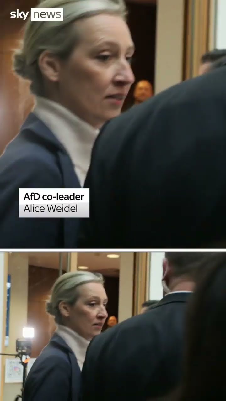 Weidel says firewall against AfD  is 'completely undemocratic'