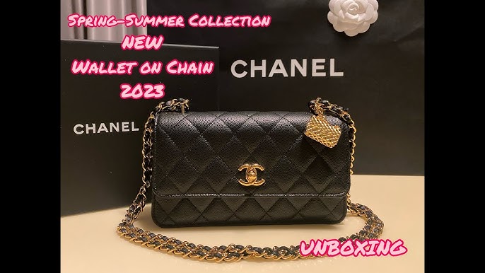 BNIB Chanel 19 Wallet On Chain (WOC)