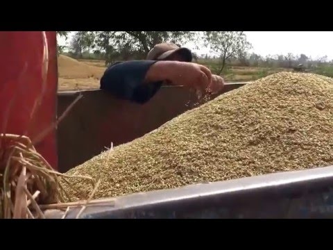 كفر الابحر عزبة الاقطان الاستاذ يوسف موسى جمعه 