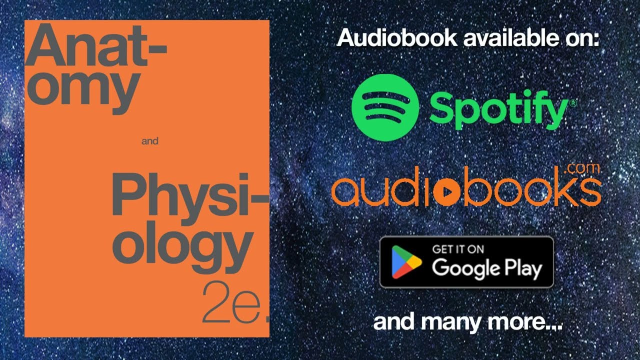 OpenStax Anatomy and Physiology 2e Audiobook (Official Audio Textbook ...