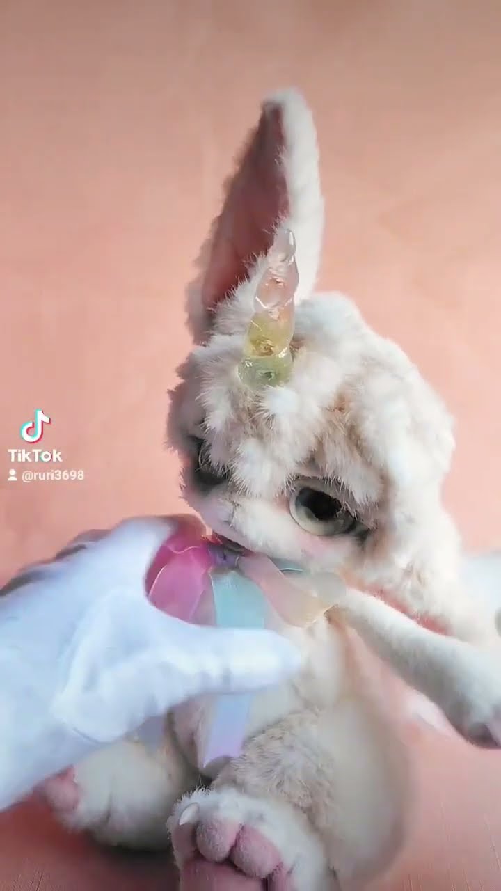 チワボボちゃん① おしゃぶり付き アートドール ぬいぐるみ