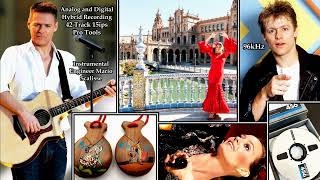 Download Lagu Have You Ever Really Loved a Woman (Instrumental Original) Bryan Adams (30th Anniversary) MP3