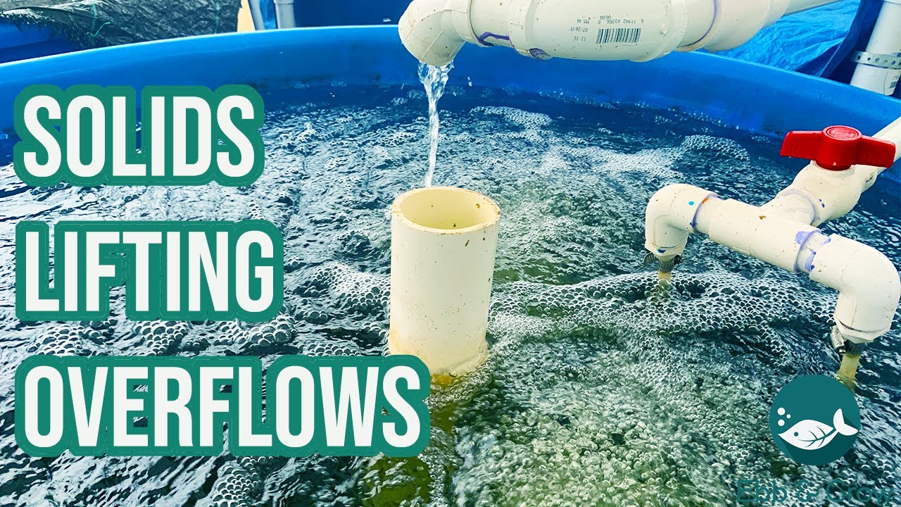 Solids Lifting Overflows (SLOs) for filtration in Aquaponics 