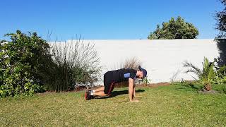 Bear Plank Hip Dip