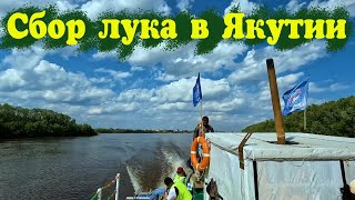 видео: На острова с Нюргуном. Благотворительная деятельность. Сбор лука картинка: На острова с Нюргуном. Благотворительная деятельность. Сбор лука