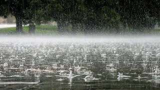 Relax & Fall Asleep Within Minutes With Big Showers On The Tin Roof & The Sound Of Thunderstorm