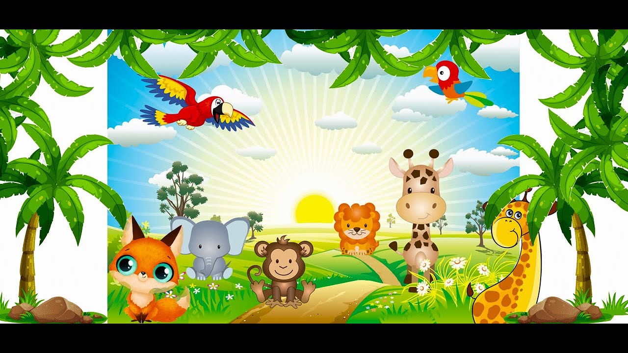 Food for farm animals cows, chickens, cats, dogs, ducks YouTube