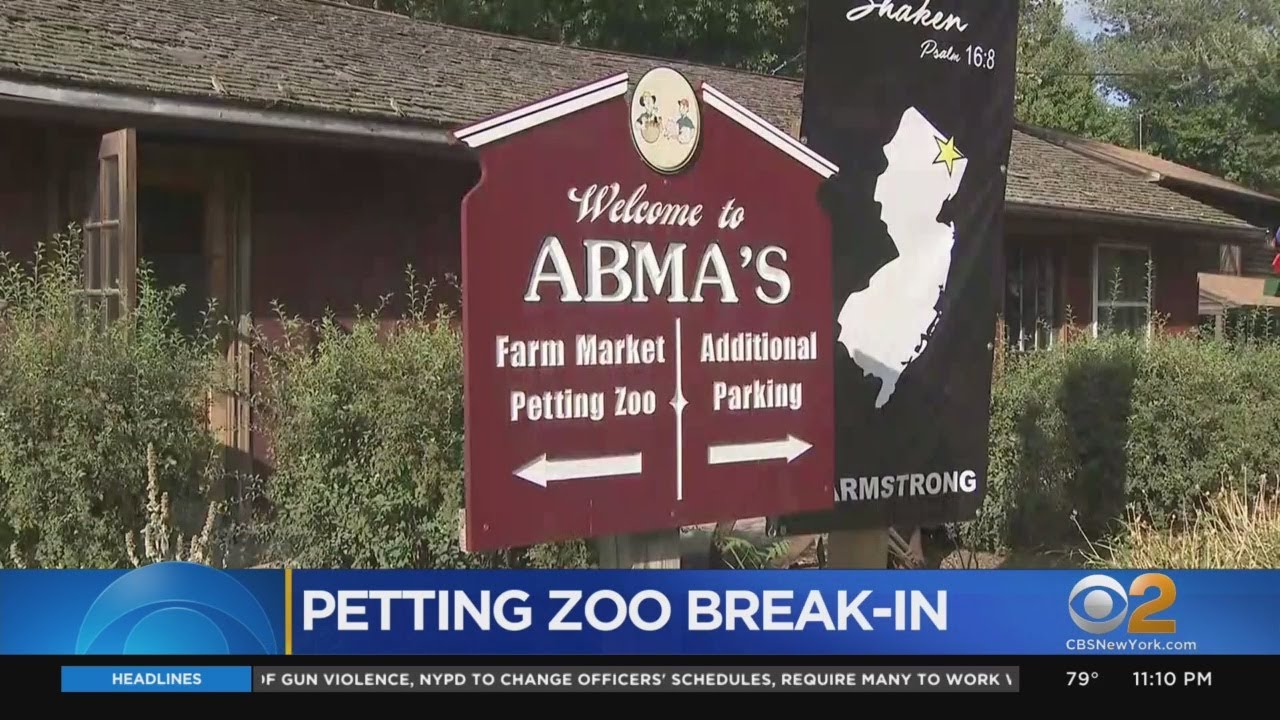 Owner Says Teens Caught Trespassing At Popular N.J. Farm