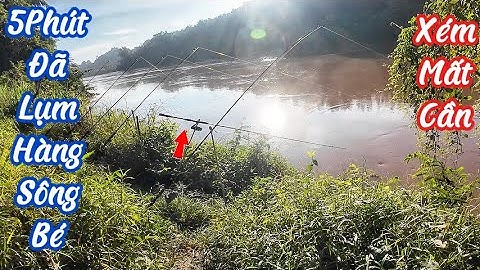 Câu Cá Sông Bé | 5 phút đã lụm hàng | Fishing Song Be | Picked up goods in 5 minutes P38