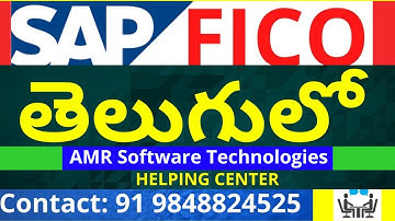 DAY 1- తెలుగులో SAP FICO డెమో| SAP FICO Introduction| What is SAP FICO | SAP FICO Classes in Telegu