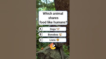 Which animal shares food like humans? #shorts #usa #quiz