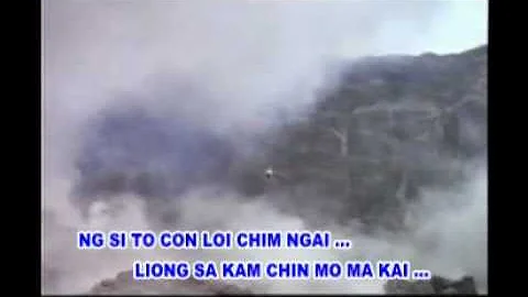 Lily - Ng Si To Con Loi Chim Ngai (Hakka Song)