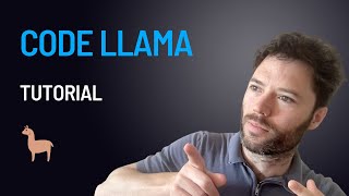 Celebrity Run Code Llama in Google Colab Net Worth