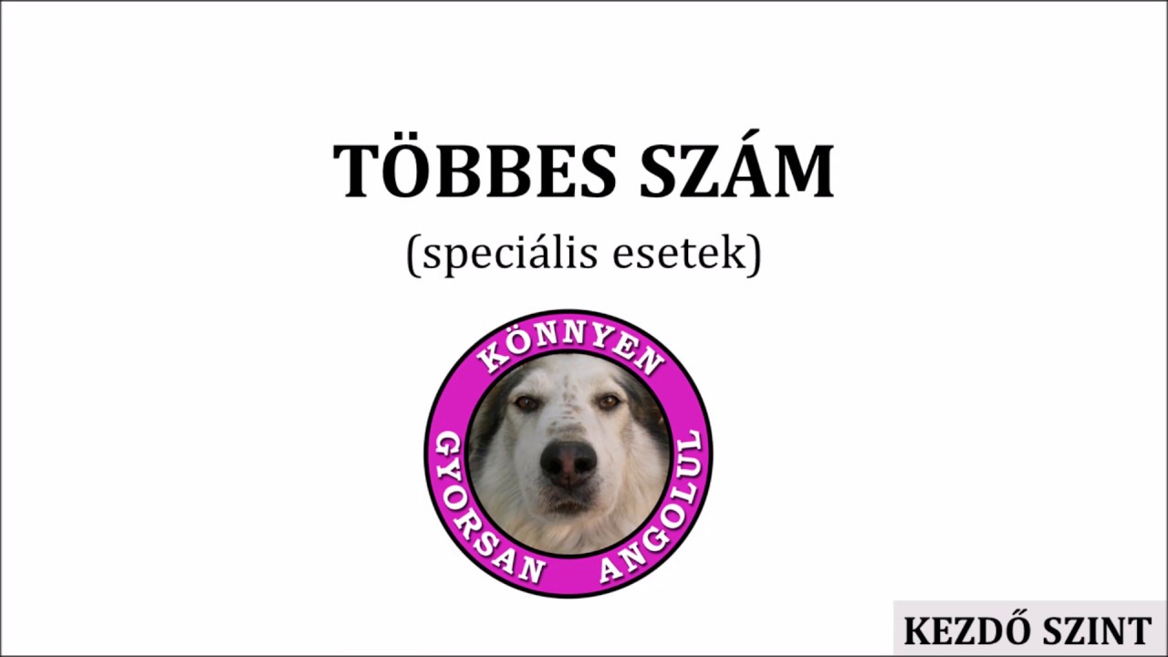 többes szám papillómák)