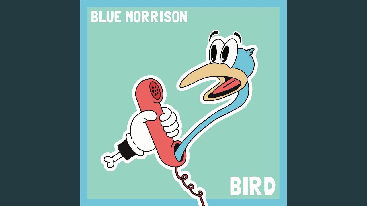 Bird adlı videoyu YouTube'da izle Bird adlı videoyu YouTube'da izle