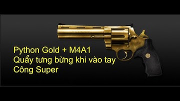 Tập Kích: Python Gold + Red M4A1 [Zombie Hero] Map Kim Tự Tháp
