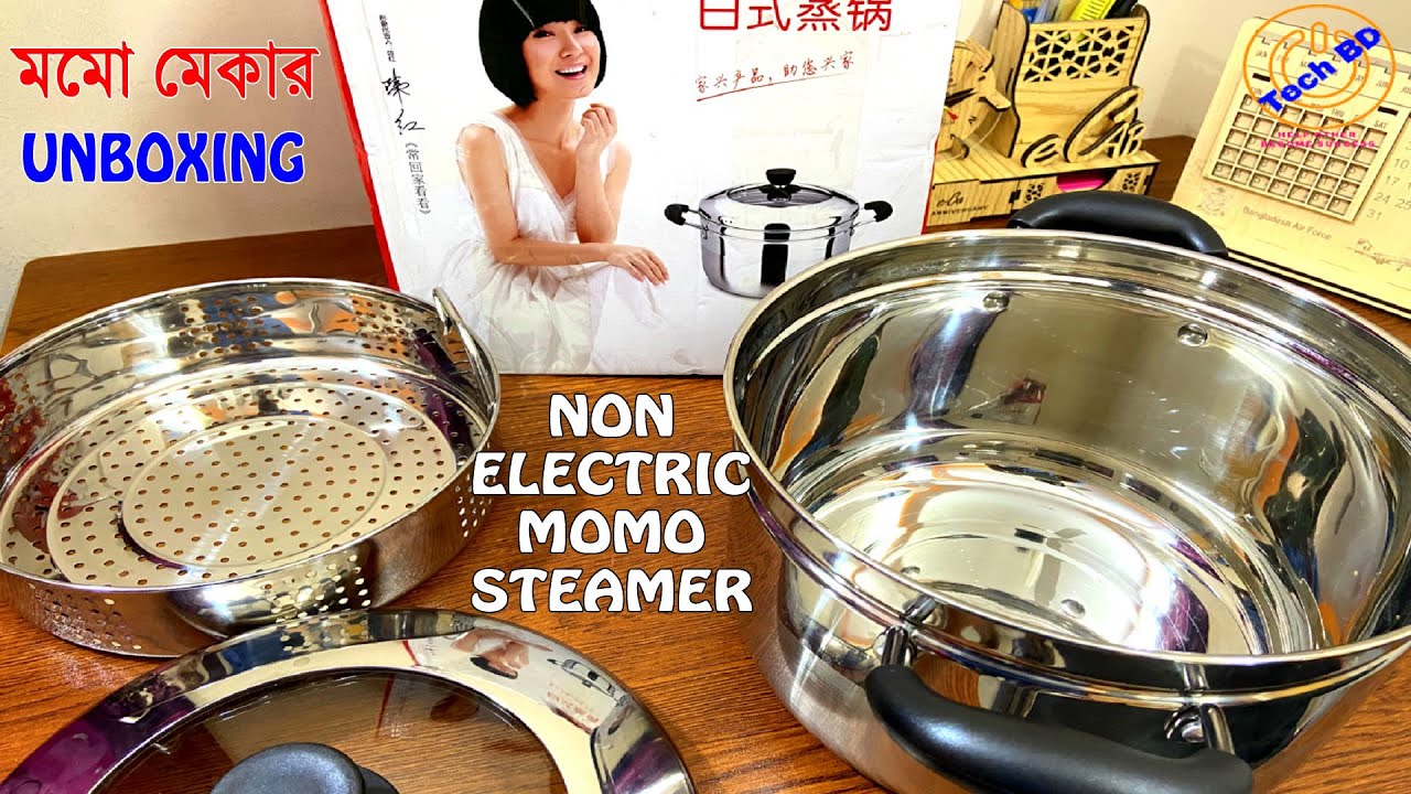 Electric Momo Steamer