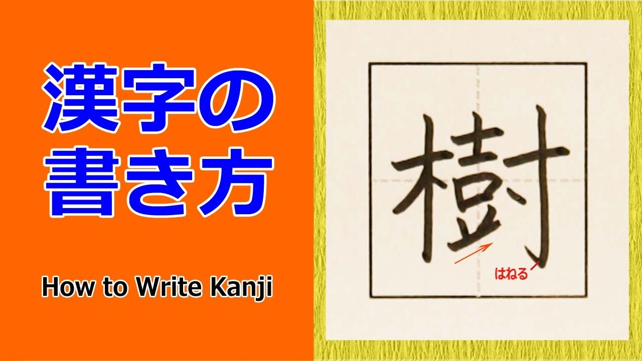樹 漢字の書き方 How To Write Kanji 小６ 漢検5級 Jlpt N1 筆順動画 Youtube