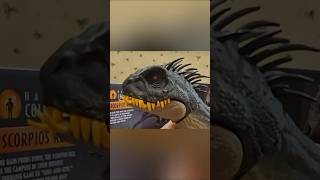 Mattel Jurassic World Hammond Collection Scorpius Rex Out Of Box #fypviral #jurassicworld