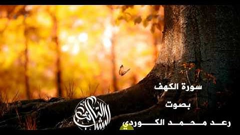 الشيخ رعد محمد الكردي سورة الكهف من الاية 1 الى الاية 12