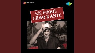 Dil Ae Dil Baharon Se Mil