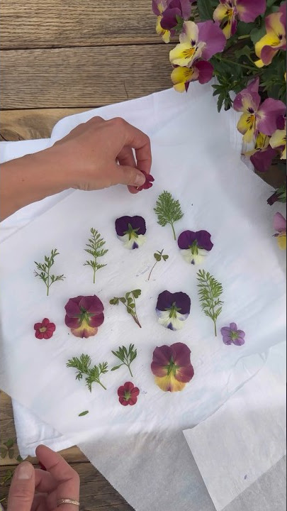 Flower pressing with clothing iron
