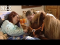 Tiere helfen heilen - Dokumentation von NZZ Format (2007)