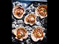 Scallops in Cebu City