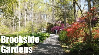 Brookside Gardens, Maryland - April 19, 2020
