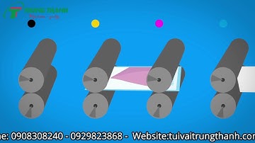 CMYK là gì? RGB là gì? Vai Trò của CMYK trong Thiết Kế In Ấn | Tuivaitrungthanh.com