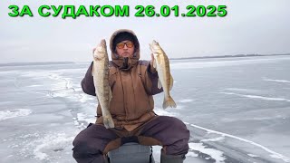 ЗА СУДАКОМ 26.01.2025.РЫБАЛКА В САРАТОВЕ - ЭНГЕЛЬСЕ.